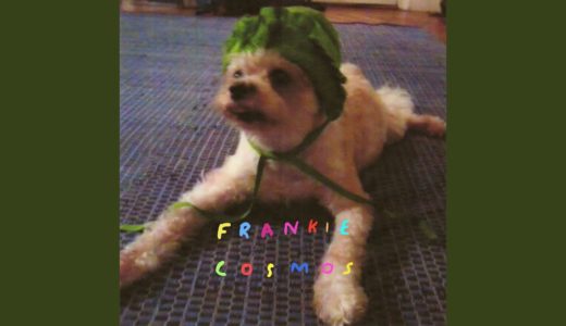 Frankie Cosmos - Fireman