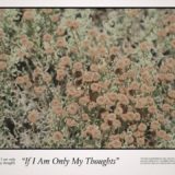 Loving – If I Am Only My Thoughts