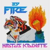 Hiatus Kaiyote – By Fire