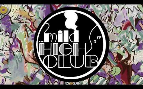 Mild High Club - Me Myself and Dollar Hell