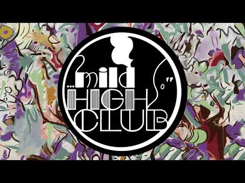 歌詞和訳】Mild High Club – Me Myself and Dollar Hell | ToyLyrics