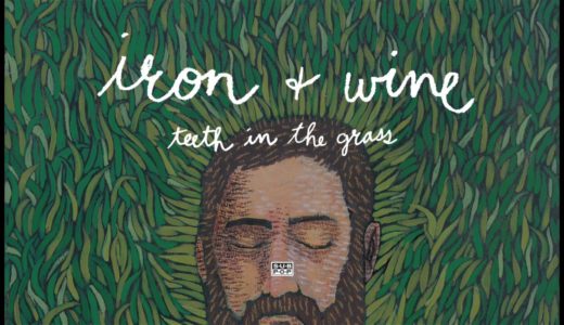 Iron & Wine - Teeth in the Grass