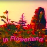 Pearl & The Oysters – Flowerland